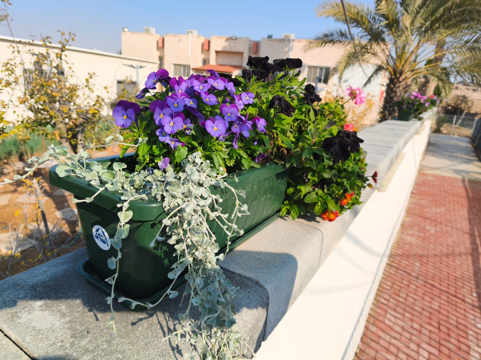 הקמת גינה חדשה - שתילה ועיצוב נוף