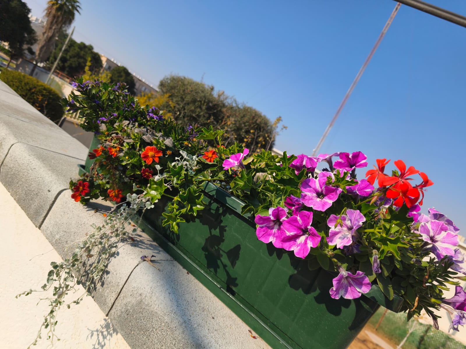 התקנת מערכת השקייה - צינורות ומתזים