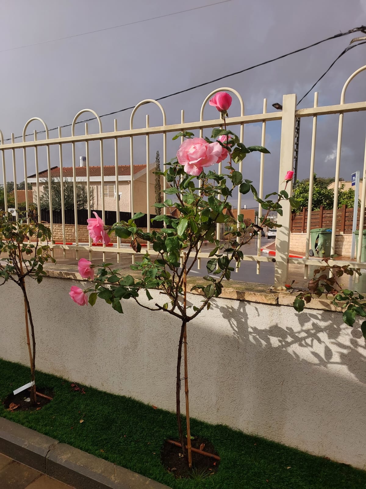 גינון מוסדי - תחזוקת שטחים ציבוריים