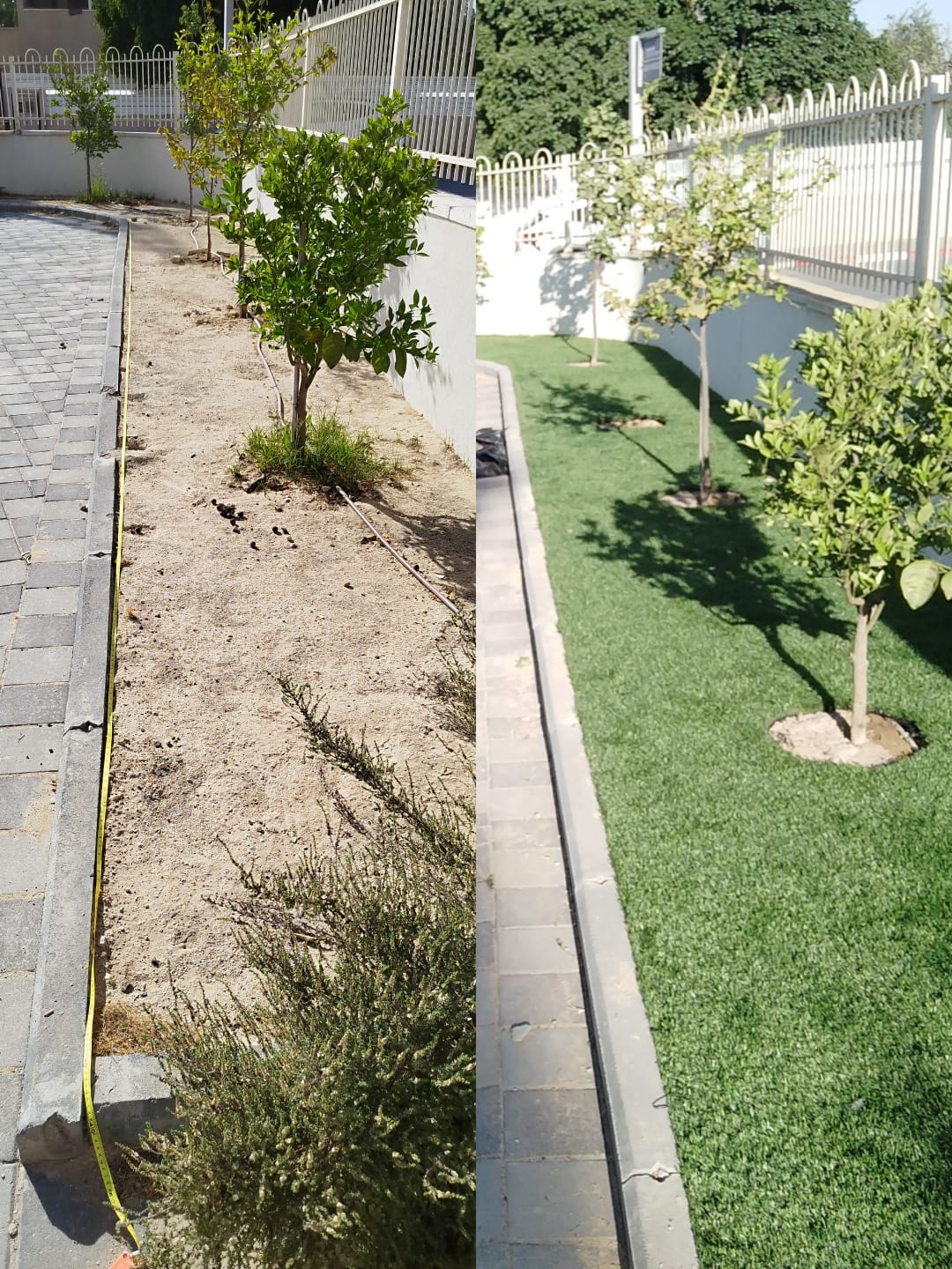 עיצוב נוף - תכנון ועיצוב גינה